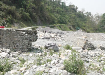 New bridge to ease travel woes in Taraythang and Umling Gewogs, Sarpang