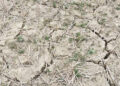 Delayed access road construction hinders progress of Nu 50 M worth Sershong irrigation water scheme