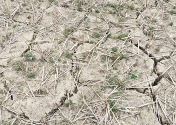 Delayed access road construction hinders progress of Nu 50 M worth Sershong irrigation water scheme