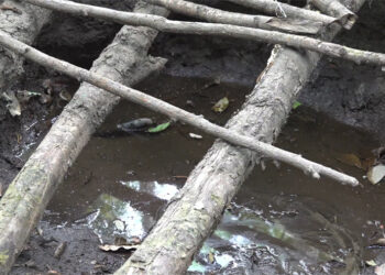 Talo Gewog residents seek assistance over depleting water sources