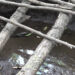 Talo Gewog residents seek assistance over depleting water sources