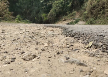 GC roads in Zhemgang need major maintenance