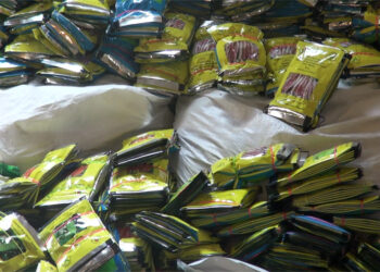 Agriculture and Livestock ministry distributes assorted vegetable seeds worth Nu 3 M to hailstorm-affected farmers in Tsirang