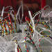 Transforming waste into art in Samdrup Jongkhar