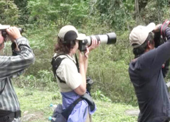 Government tasks Department of Tourism with drafting SOP to implement revised SDF