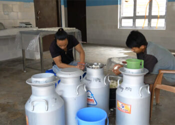 New milk processing unit helps local dairy farmers in Pema Gatshel