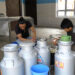 New milk processing unit helps local dairy farmers in Pema Gatshel