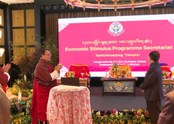 Government launches Economic Stimulus Programme