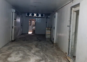 Tonnes of African Swine Fever infected pork recalled and stored in cold storage