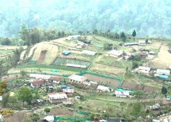 Dungna Gewog farmers seek solutions to wildlife woes