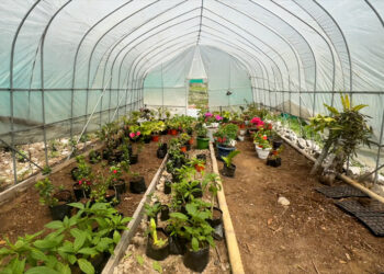 Sangbaykha Dungkhag explores floriculture business for community’s youth