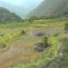 Some parts of Chhubu Gewog yet to start paddy transplantation due to water shortage
