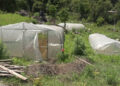 Damaged water pipeline and fencing hamper Chudawong commercial vegetable farm progress, Trashigang