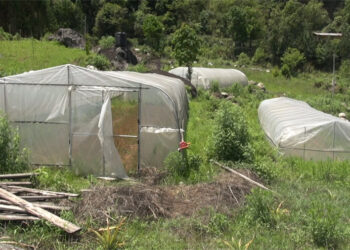 Damaged water pipeline and fencing hamper Chudawong commercial vegetable farm progress, Trashigang