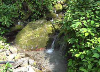 Drying water sources leave communities in Samdrup Jongkhar Thromde struggling for water