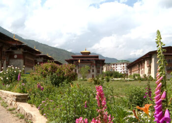 19 additional convicts receive prison terms for human trafficking