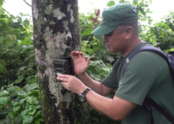 Camera to assess environmental impacts of Tareythang-Gelephu road construction project