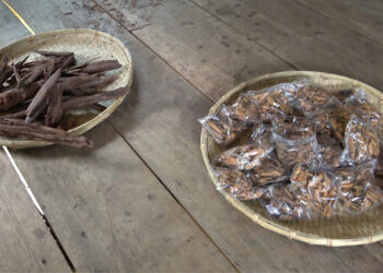 Non-wood forest products fetch good price at auction in Pema Gatshel