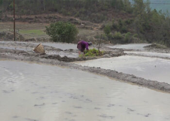 Government plans to construct 24 irrigation channels to address irrigation water in 13th FYP