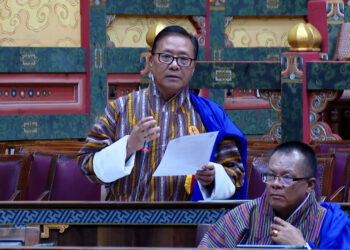 NA rejects recommendation to use gewog’s method to allocate budget for thromdes and districts