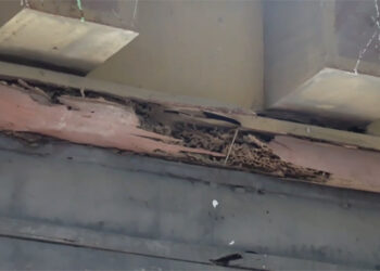 Termite infestation prompts relocation of Rangaytung Primary School, Chhukha