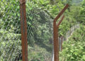 Chain-link fencing brings hope to farmers in Dagana