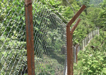 Chain-link fencing brings hope to farmers in Dagana