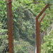 Chain-link fencing brings hope to farmers in Dagana