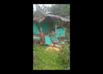 Rising elephant incursions threaten lives and livelihoods in Chhukha