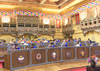 Few NC members suggest national rice policy for self-sufficiency