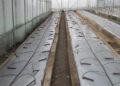 Sarpang’s commercial farmers embrace smart irrigation technology for year-round farming for GMC