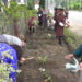 Samdrup Jongkhar Thromde launches major beautification initiative