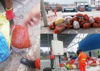 Increased imports raise concerns about pesticide risks in vegetables and fruits