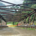 Safety concerns rise as Singyechhu bridge closure forces use of bailey bridge in Chhukha
