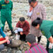 eDNA, new method to study presence of species in environment