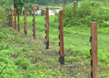 Electric fences bring relief to Tsangchhutham villagers, Samdrup Jongkhar