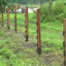 Electric fences bring relief to Tsangchhutham villagers, Samdrup Jongkhar