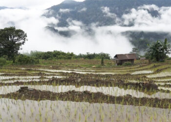 Norbugang and Laishingri farmers call for power supply in Tikiliwoong to ease farming challenges