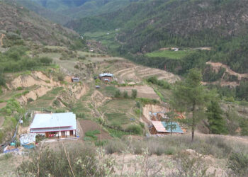 Villages in Maedwang and Genye Gewogs in Thimphu expected to have enough irrigation water by next year