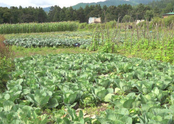 FCB connects Khothangkha farmers with Gyalsung Academy for new market opportunity