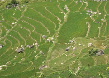 Decades-long water struggles end for Jamkhar Drang farmers