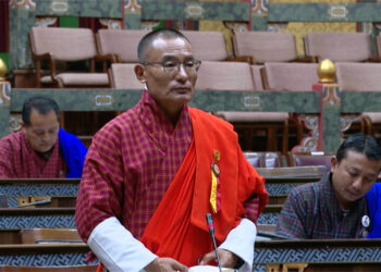 Government to work with telecom operators to reduce charges by 50 per cent this fiscal year