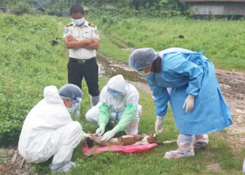 Rabies cases in Phuentshogling and Nganglam, 16 people bitten by rabid dogs