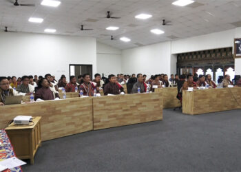 Call for proper demarcation between Norbugang and Panbang raised again in Pema Gatshel DT