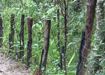 Government allocates Nu 5bn to expand wildlife fencing to 3,400 kilometres