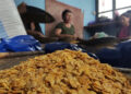 Turning maize into profit – Zhemgang’s Tali village