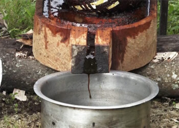 Shumar man keeping Shingse oil extraction alive, Pema Gatshel