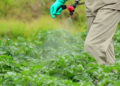 Farmers need more education on pesticide health risks, study shows