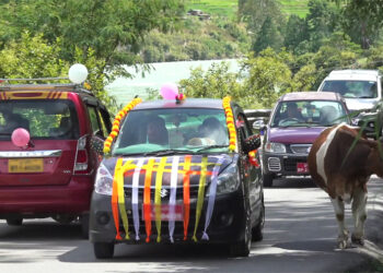 Punakha plans road widening between Khuruthang and Punakha Dzong