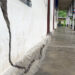 Landslide risks growing in Wangdue Gatshel, school and homes affected
